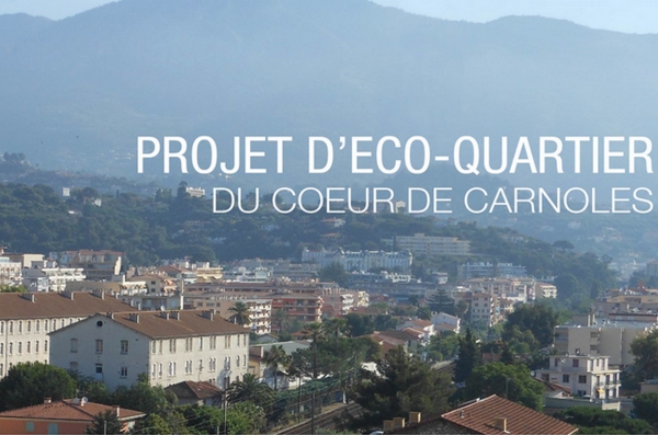 ZAC CŒUR DE CARNOLES : BILAN DE LA PARTICIPATION DU PUBLIC PAR VOIE ÉLECTRONIQUE 
