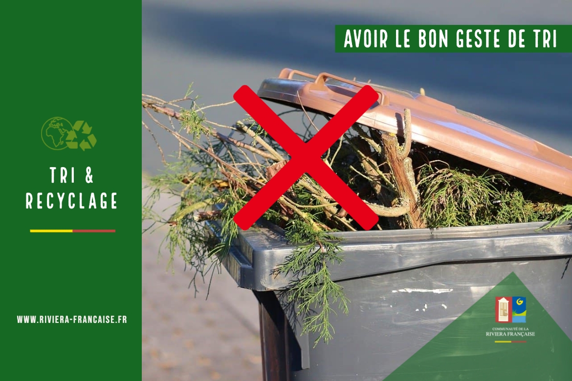 LES VÉGETAUX, BIEN PLUS QUE DE SIMPLES DÉCHETS !