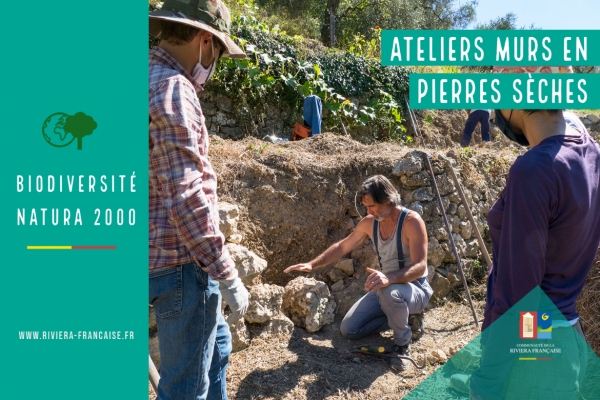 DES FORMATIONS MURS EN PIERRES SÉCHES À SAINTE-AGNÈS, BREIL, CASTELLAR & CASTILLON