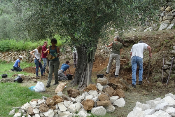 PATRIMOINE &amp; BIODIVERSITÉ : des formations dédiées aux murs en pierres sèches