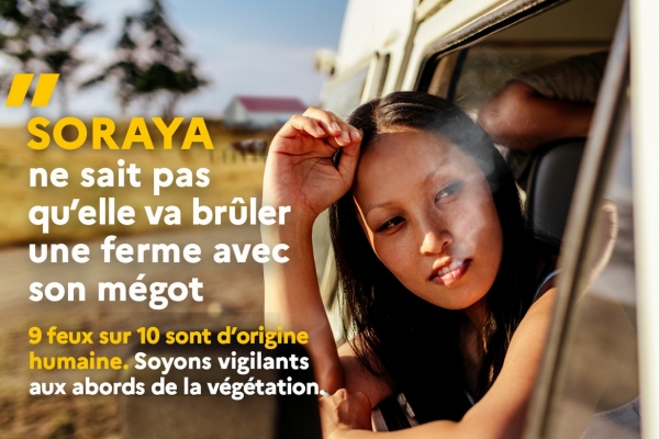 FEUX DE FORÊT ET DE VÉGÉTATION : AYONS LES BONS RÉFLEXES