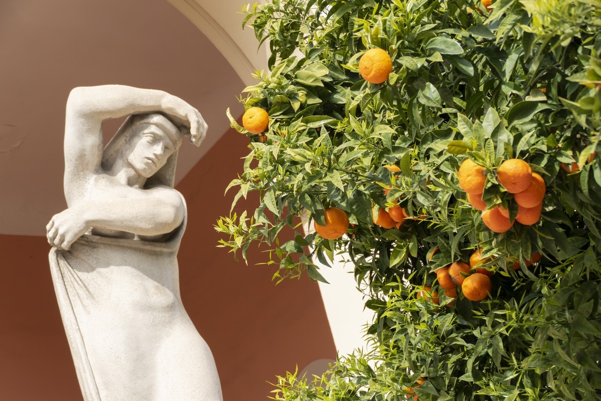 ATELIERS &amp; FORMATIONS : COMMENT BIEN ENTRETENIR VOS AGRUMES ? 